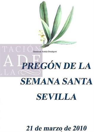 Portada y contraportada